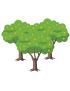 Alberi